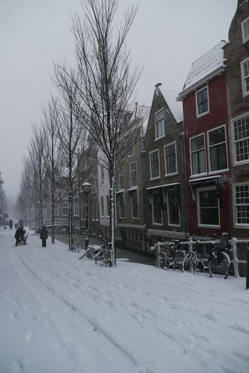 Comfortable Apartment City Centre Delft Haga Exterior foto