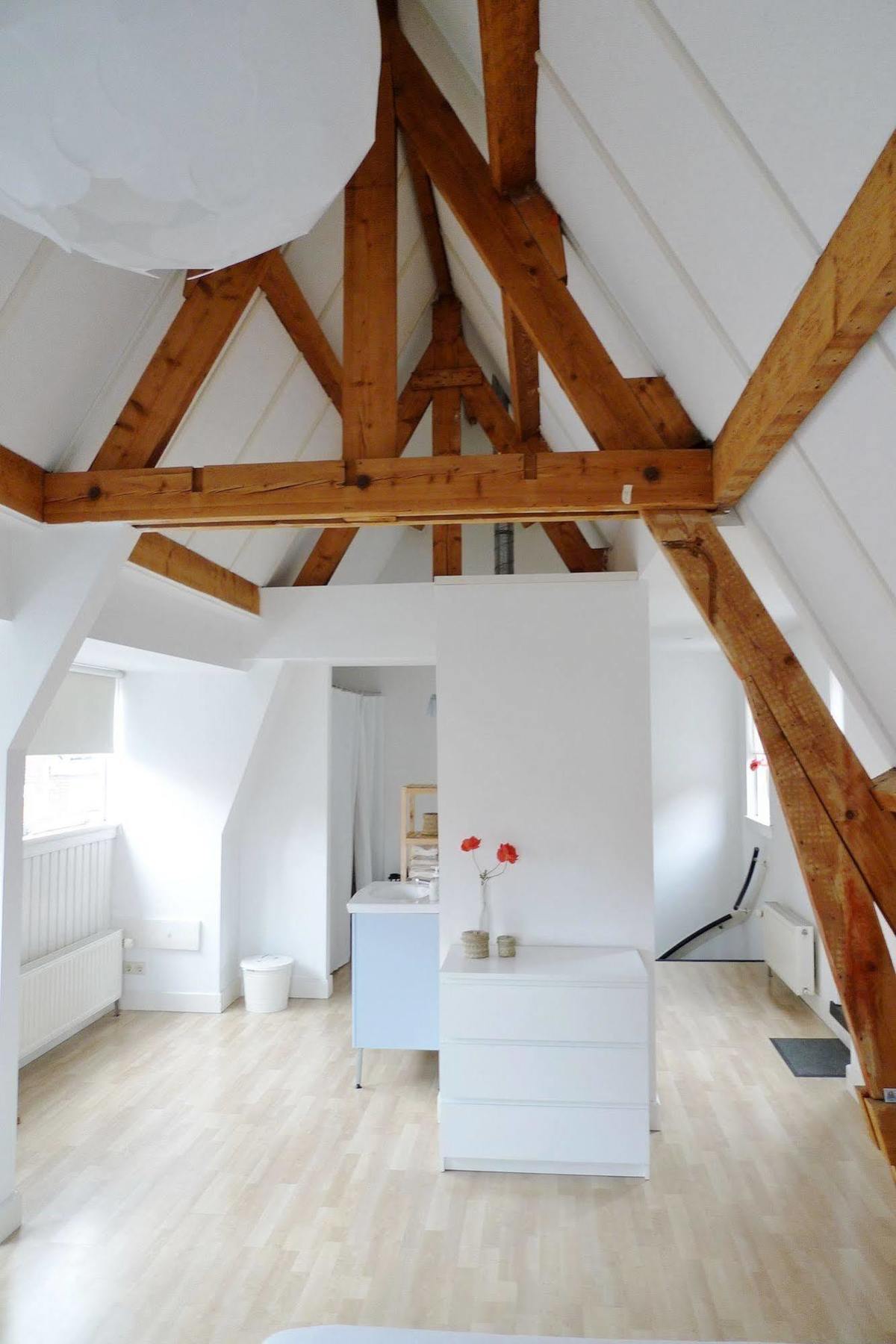 Comfortable Apartment City Centre Delft Haga Exterior foto